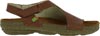 El Naturalista 309 Soft Grain Wood
