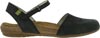 El Naturalista 412 Pleasant Black