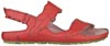 el naturalista sandals ikebana ND61 el naturalista sandales el naturalista espadrille el naturalista tong el naturalista sandaler el naturalista sandalias el naturalista sandalen el naturalista sandalit el naturalista sandali el naturalista sandaly el naturalista sandlias