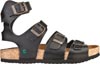 el naturalista sandals waraji NE38 el naturalista sandales el naturalista espadrille el naturalista tong el naturalista sandaler el naturalista sandalias el naturalista sandalen el naturalista sandalit el naturalista sandali el naturalista sandaly el naturalista sandlias