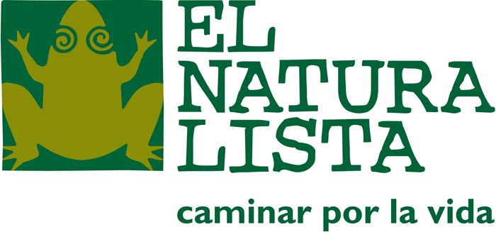 El Naturalista boots El Naturalista bottes El Naturalista stvler El Naturalista botas El Naturalista kengt El Naturalista stivali El Naturalista buty El Naturalista laarzen
