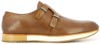 Neosens 498 Chestnut